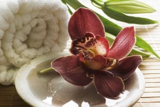 Quellness Woche Quellness Woche